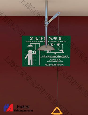 置頂噴淋站,不銹鋼沖淋器,吊頂式?jīng)_身器